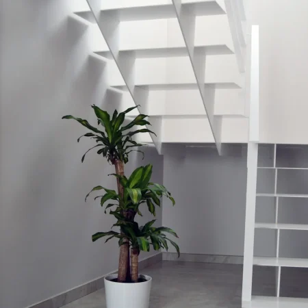 Vivienda JJara.